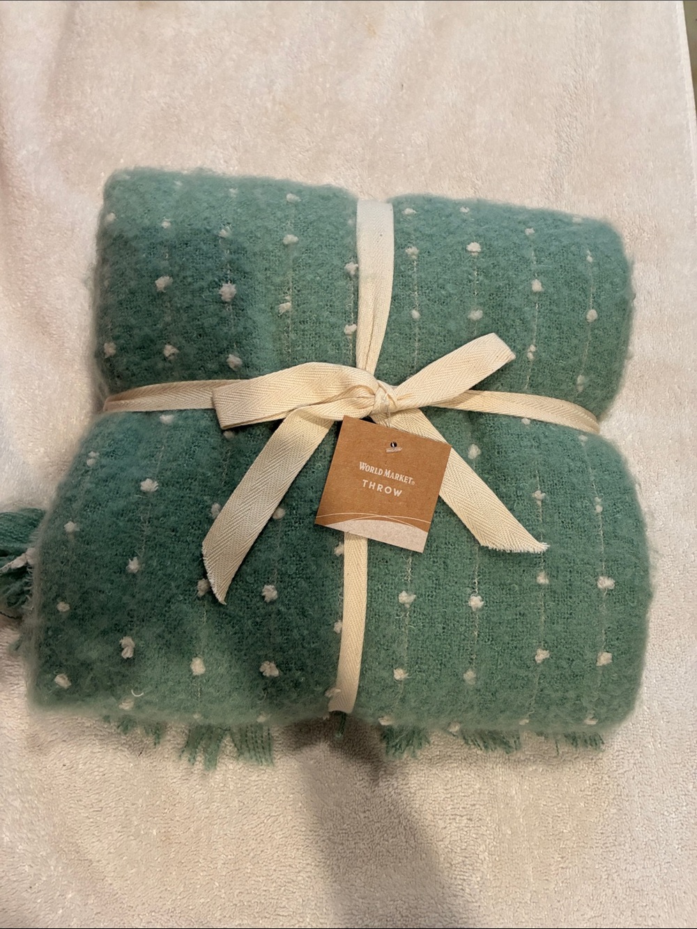 Cost Plus World Market Seafoam Green Dot Throw